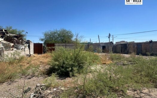 IGNACIO MEDRANO, COL. JOSE LUZ TORRES