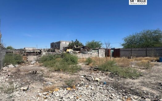 IGNACIO MEDRANO, COL. JOSE LUZ TORRES