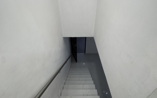 MAGISTERIO SECCION 38