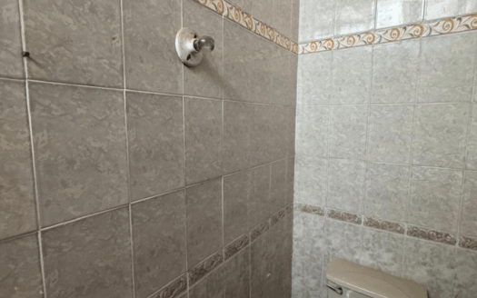 NUEVO TORREON SALTILLO 400