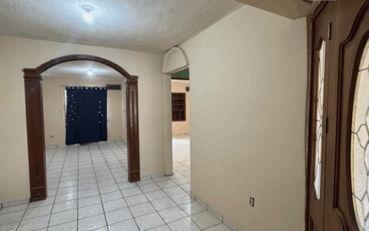 NUEVO TORREON SALTILLO 400