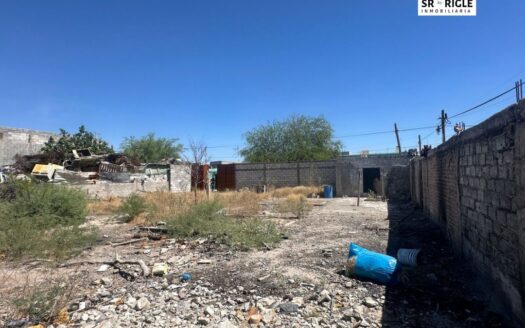 IGNACIO MEDRANO, COL. JOSE LUZ TORRES